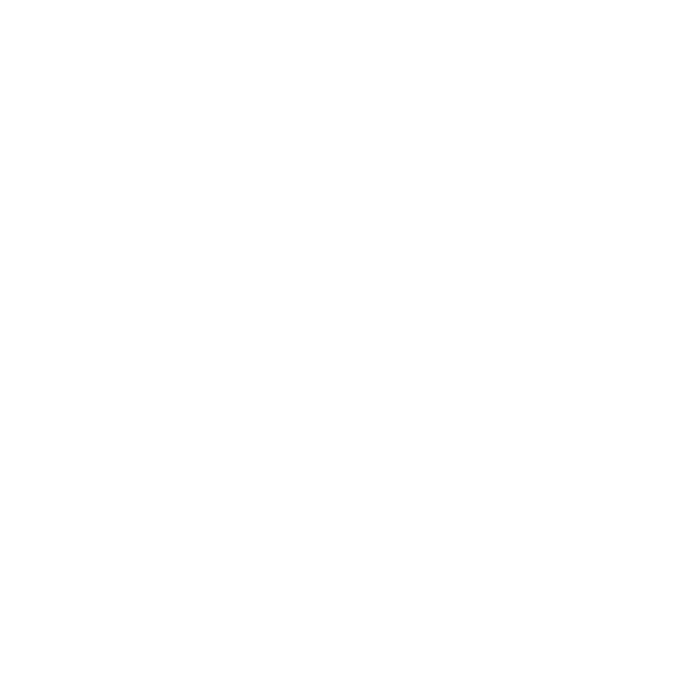 Logo hotel Los Puentes_blanco@2x