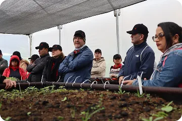 acerca-de-plantar-nuevas-plantas-en-la-naturaleza 6